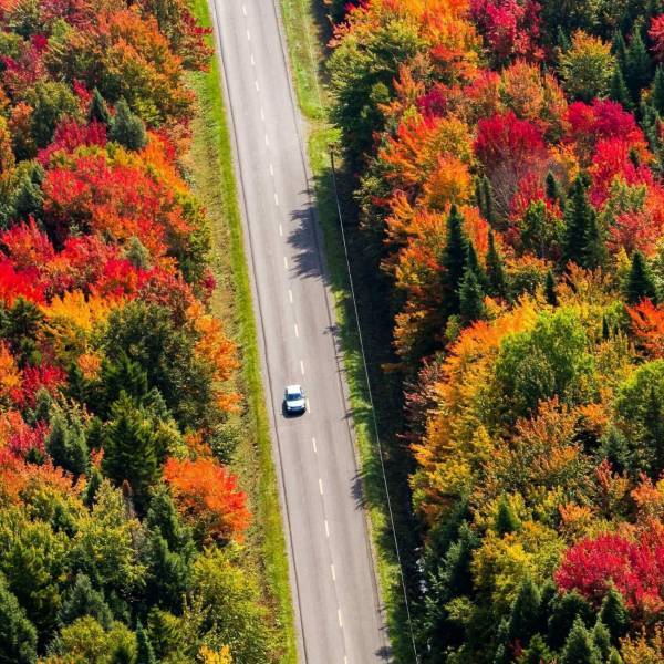 FLYDRIVE-2-1-scaled box