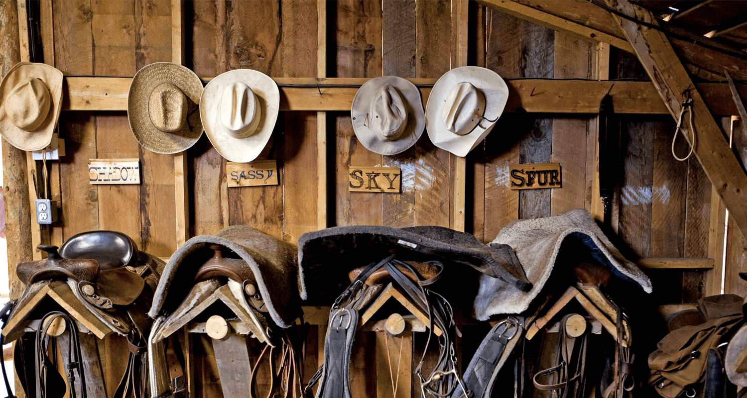 ranch-lodge-esperienze-canada