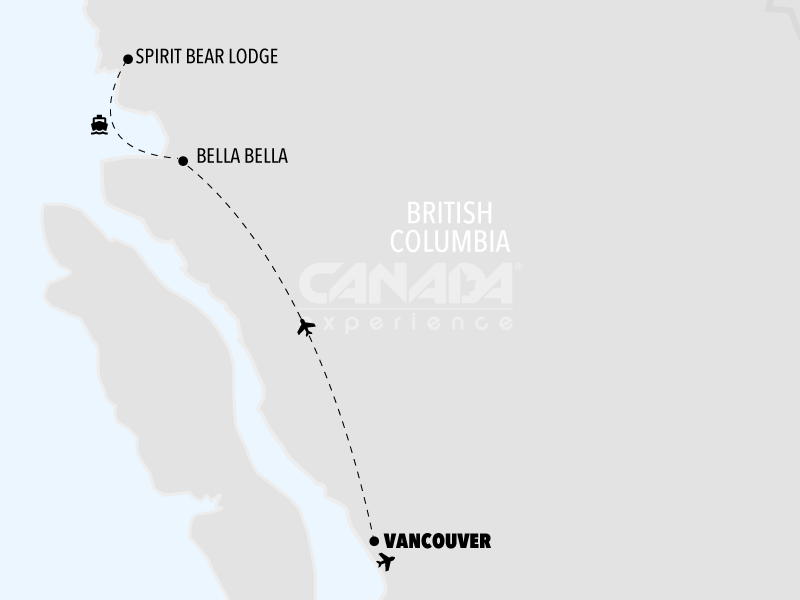 Spirit Bear & Grizzly