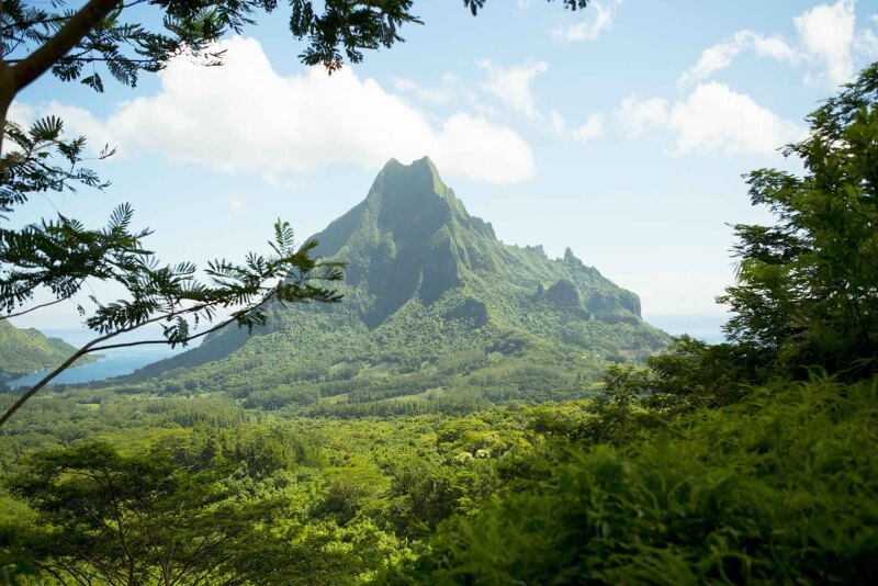 canada-experience-moorea-wooded-hill-Hiking-Discovery