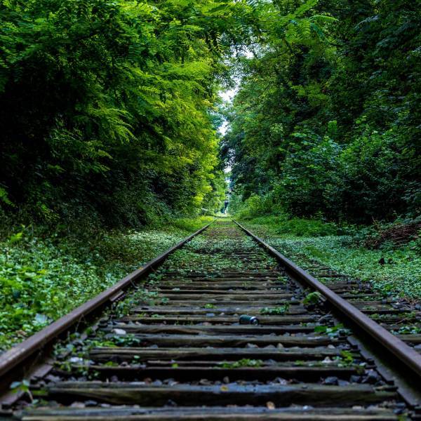 1x1CLUSTER Viaggi in Treno