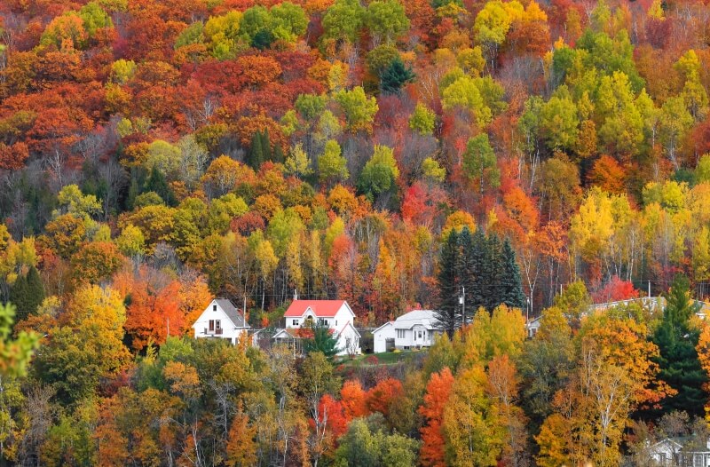 canada-experience-autunno-Mauricie-alberi-e-case-featured