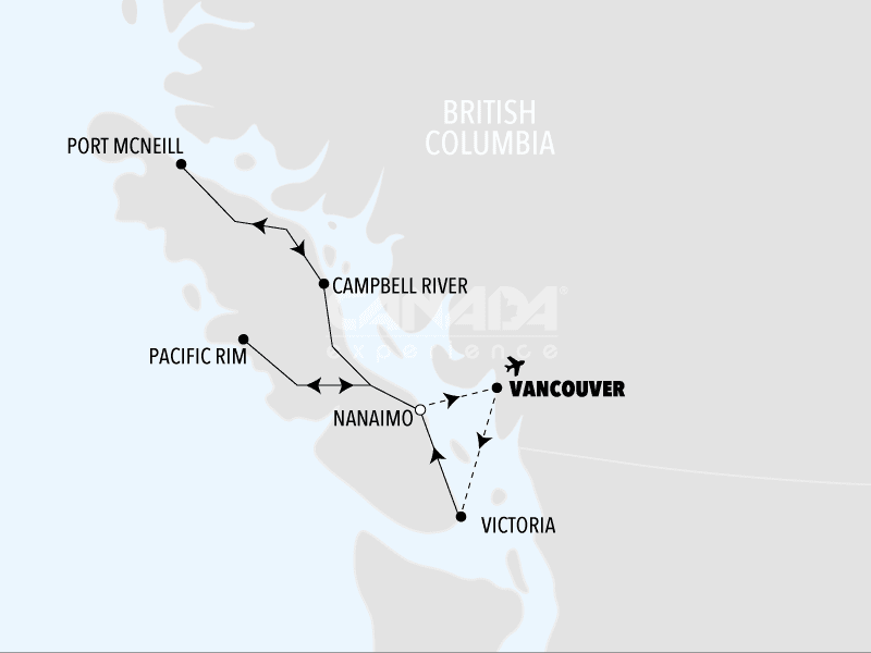 Fly&Drive Vancouver Island orche e grizzly