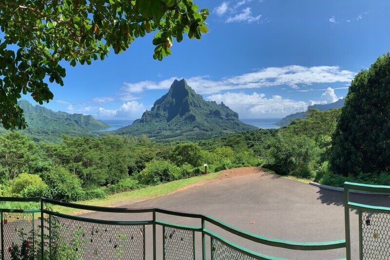 canada-experience-moorea-Belvedere-Mario-Safari