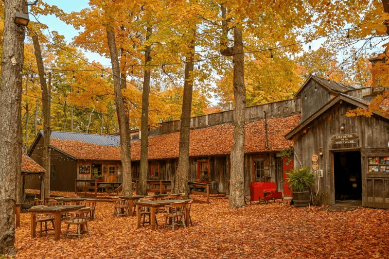 canada-experience-rigaud-sucrerie-de-la-montagne-autunno-negozio